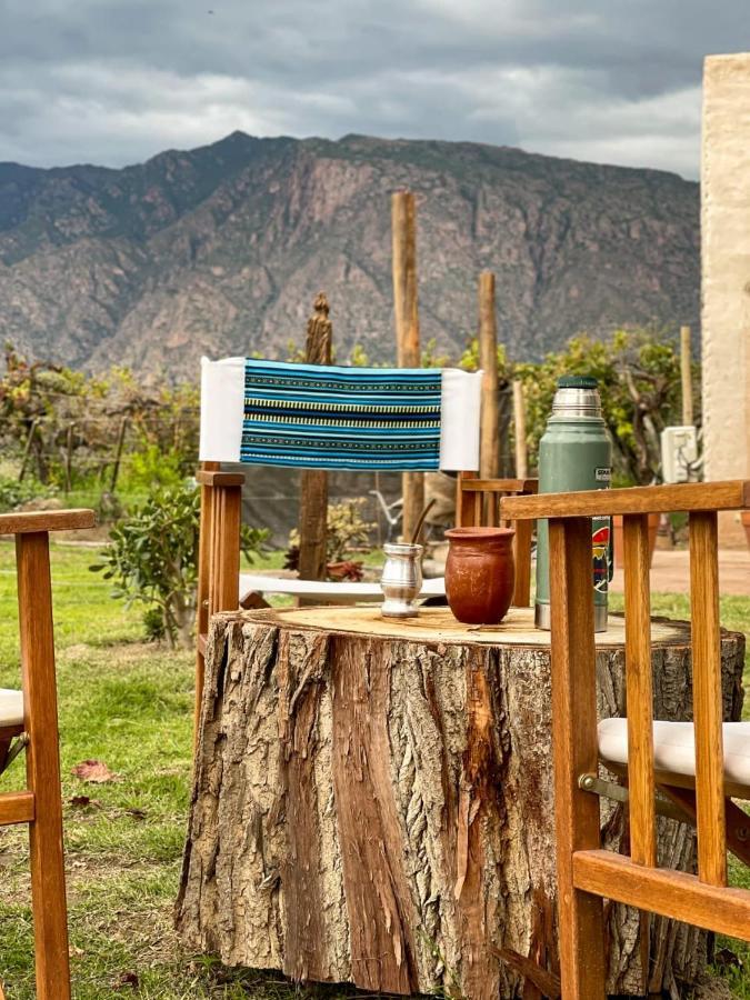 Pasillos Del Vinedo * Cafayate