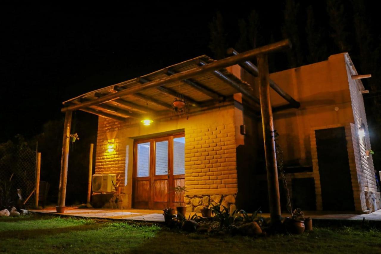 Pasillos Del Vinedo Cafayate