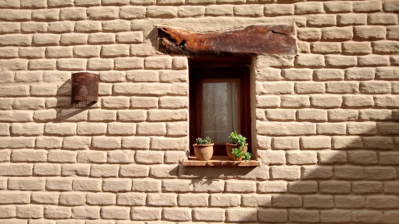 Pasillos Del Vinedo