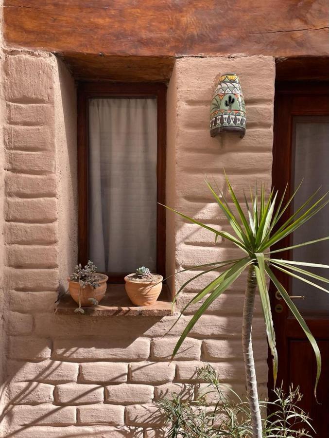 Pasillos Del Vinedo Apartment Cafayate