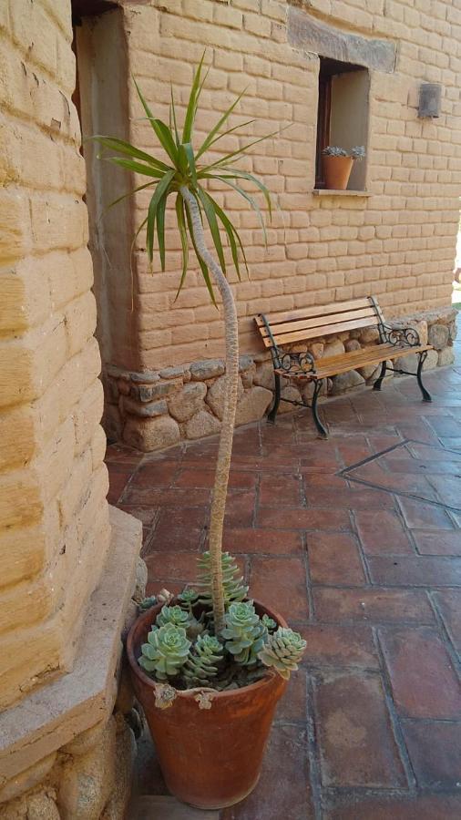 Pasillos Del Vinedo Cafayate
