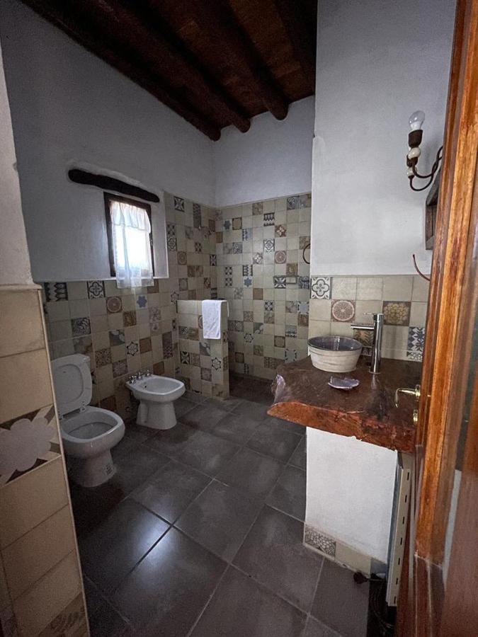 Pasillos Del Vinedo