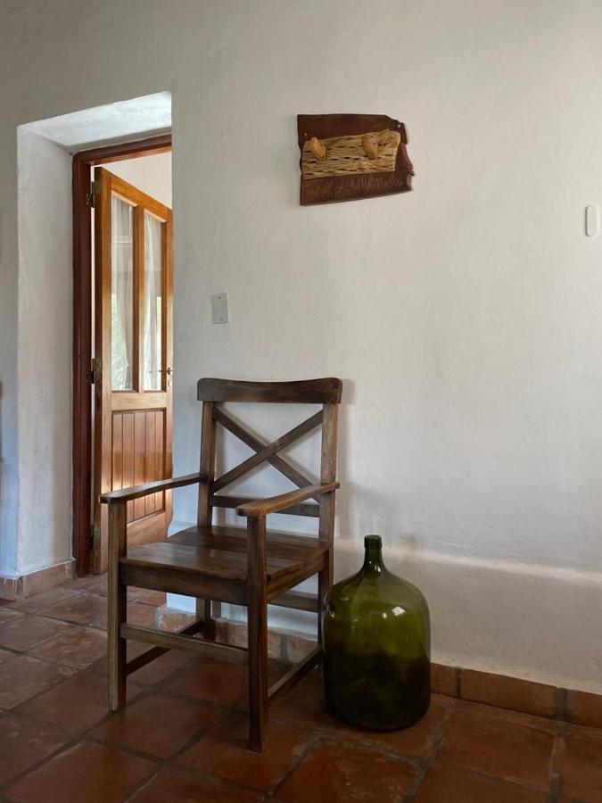 Pasillos Del Vinedo Cafayate