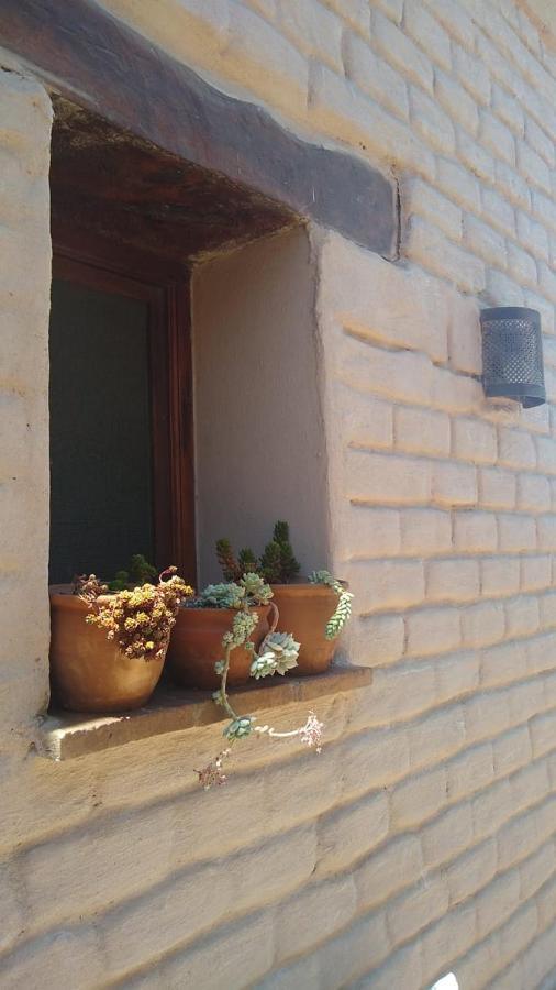 Pasillos Del Vinedo Cafayate