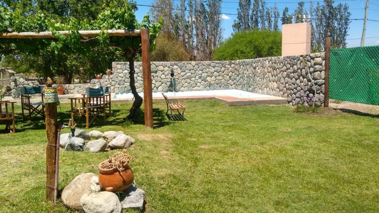 Pasillos Del Vinedo Cafayate