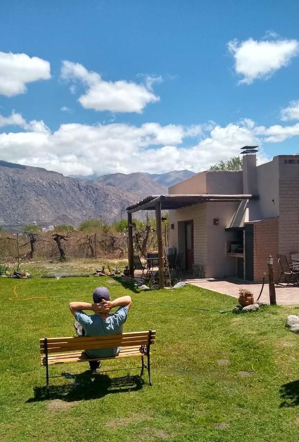 Pasillos Del Viñedo Cafayate